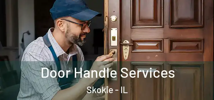 Door Handle Services Skokie - IL