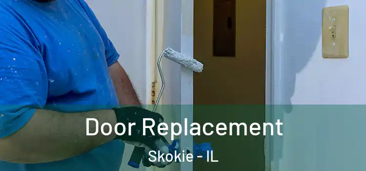 Door Replacement Skokie - IL