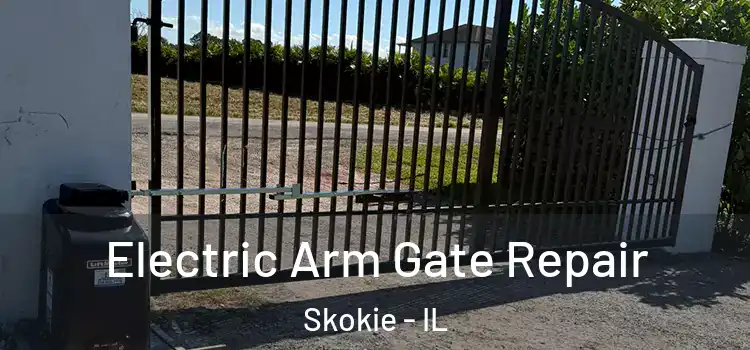  Electric Arm Gate Repair Skokie - IL
