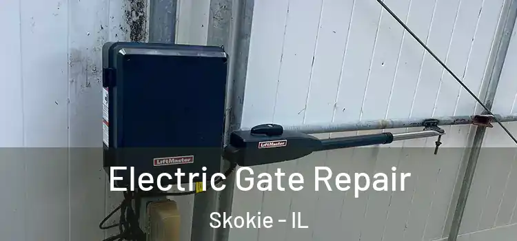 Electric Gate Repair Skokie - IL