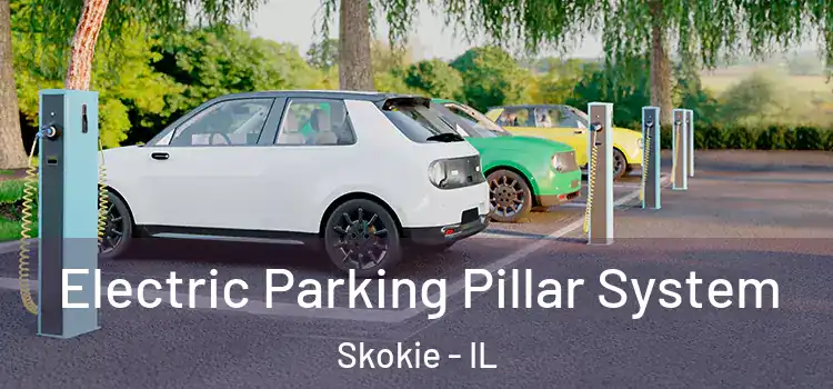  Electric Parking Pillar System Skokie - IL