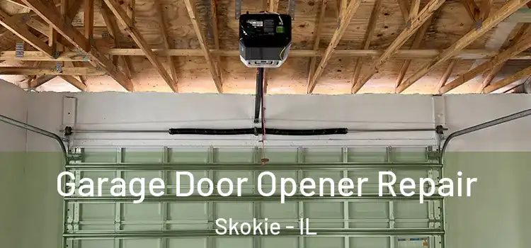  Garage Door Opener Repair Skokie - IL