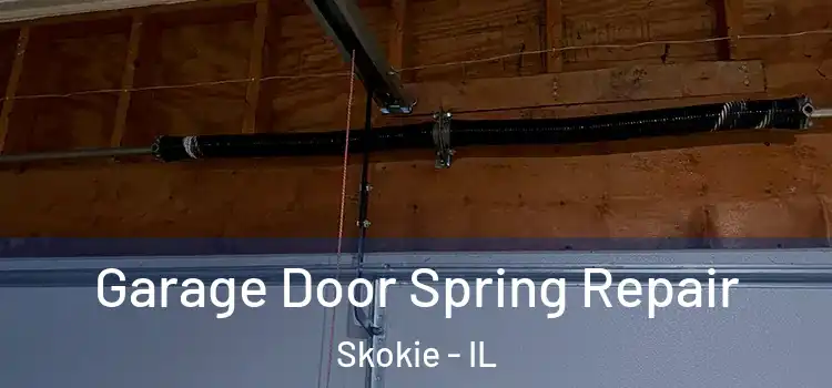  Garage Door Spring Repair Skokie - IL