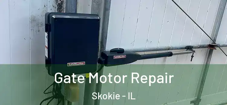 Gate Motor Repair Skokie - IL