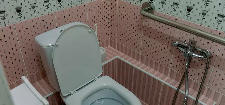Meeting Diverse Needs With Accessible Restroom Solutions in Skokie, IL