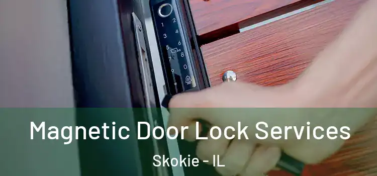 Magnetic Door Lock Services Skokie - IL