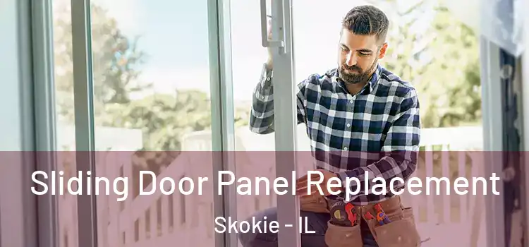  Sliding Door Panel Replacement Skokie - IL