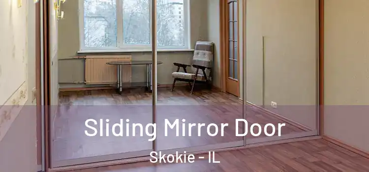  Sliding Mirror Door Skokie - IL